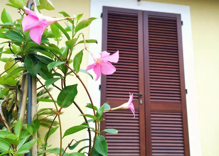 Bed and Breakfast Il Gelsomino Foligno